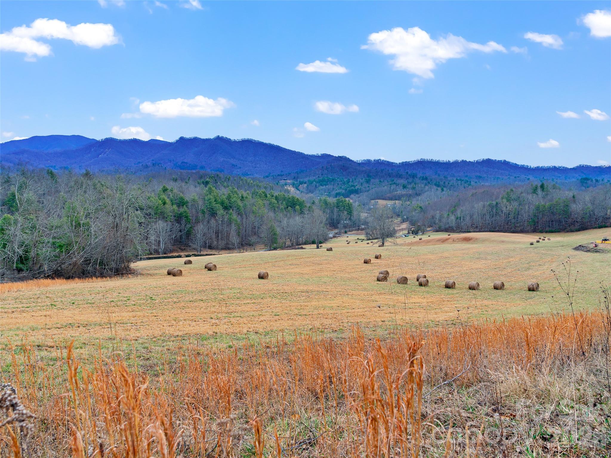 784 Green Young Cemetery Road Bakersville, NC 28705 - Photo 32 of 46 a view of a yard with an ocean view