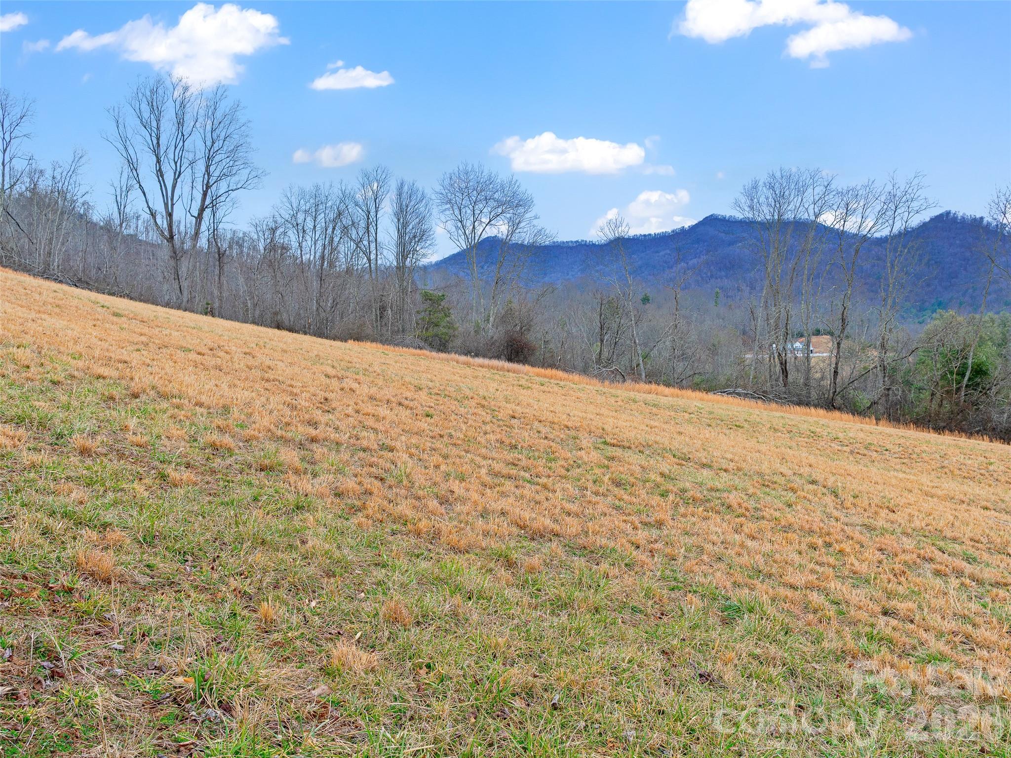 784 Green Young Cemetery Road Bakersville, NC 28705 - Photo 34 of 46 a street view with large trees