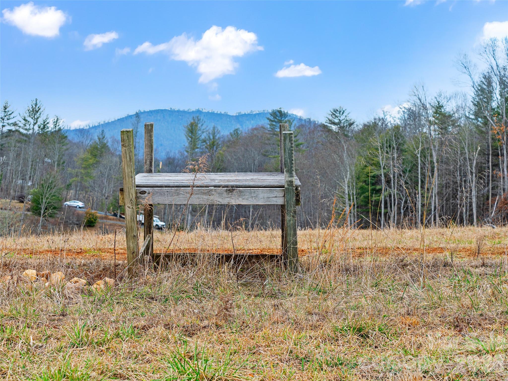 784 Green Young Cemetery Road Bakersville, NC 28705 - Photo 35 of 46 a view of swimming pool with a yard and lake view