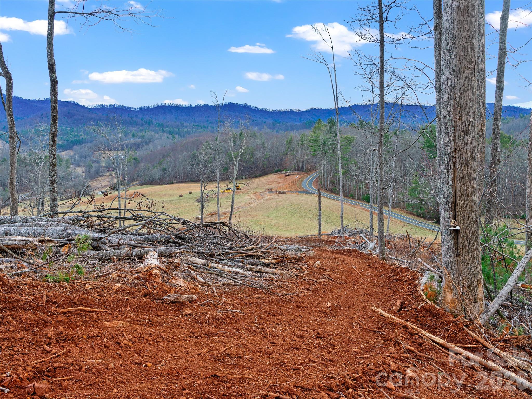 784 Green Young Cemetery Road Bakersville, NC 28705 - Photo 37 of 46 a view of a backyard