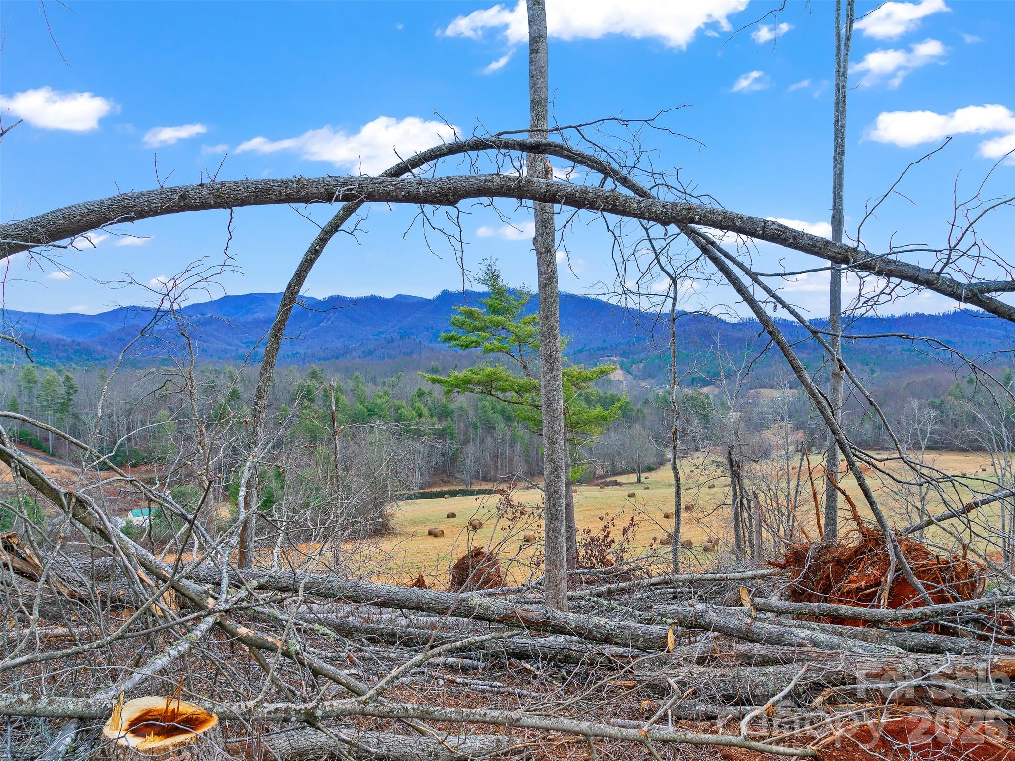 784 Green Young Cemetery Road Bakersville, NC 28705 - Photo 38 of 46 a house view with a outdoor space