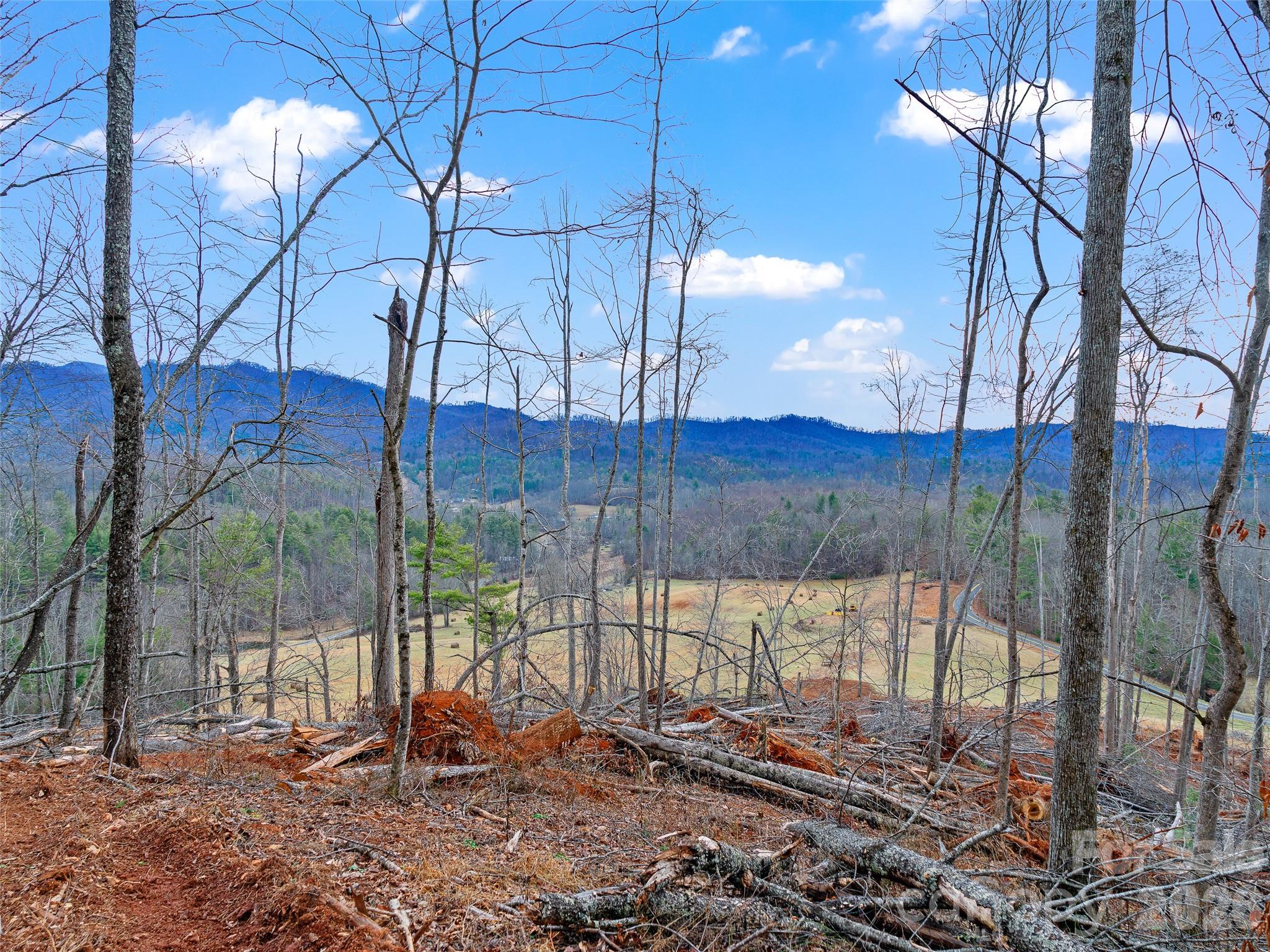 784 Green Young Cemetery Road Bakersville, NC 28705 - Photo 39 of 46 a view of a backyard of the house