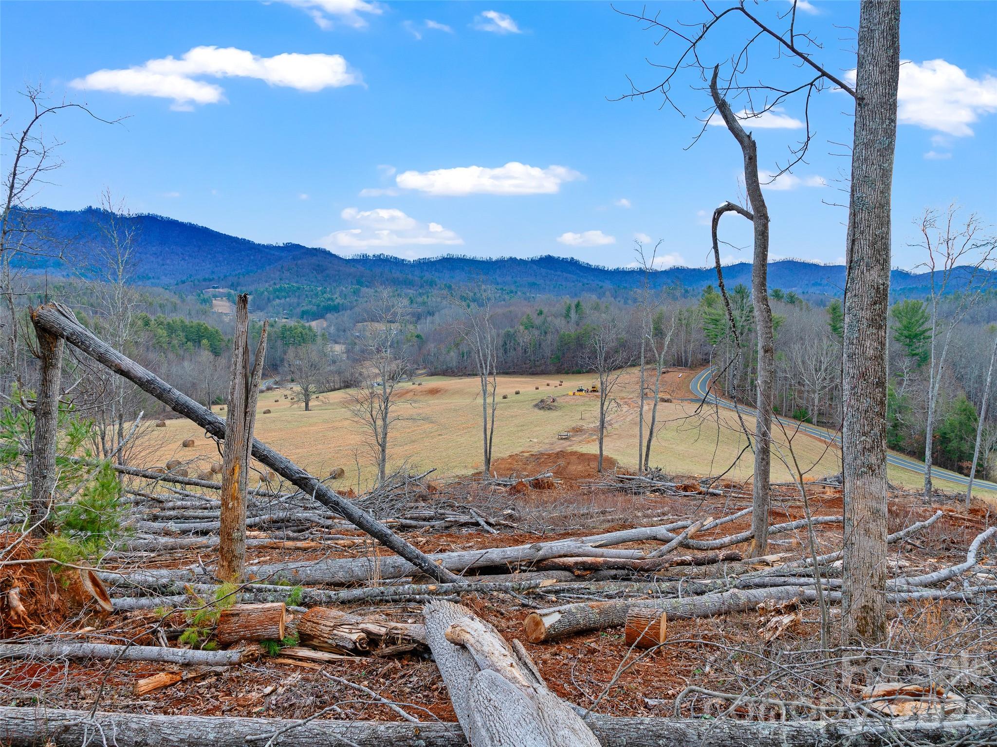 784 Green Young Cemetery Road Bakersville, NC 28705 - Photo 40 of 46 a view of a swimming pool with a patio