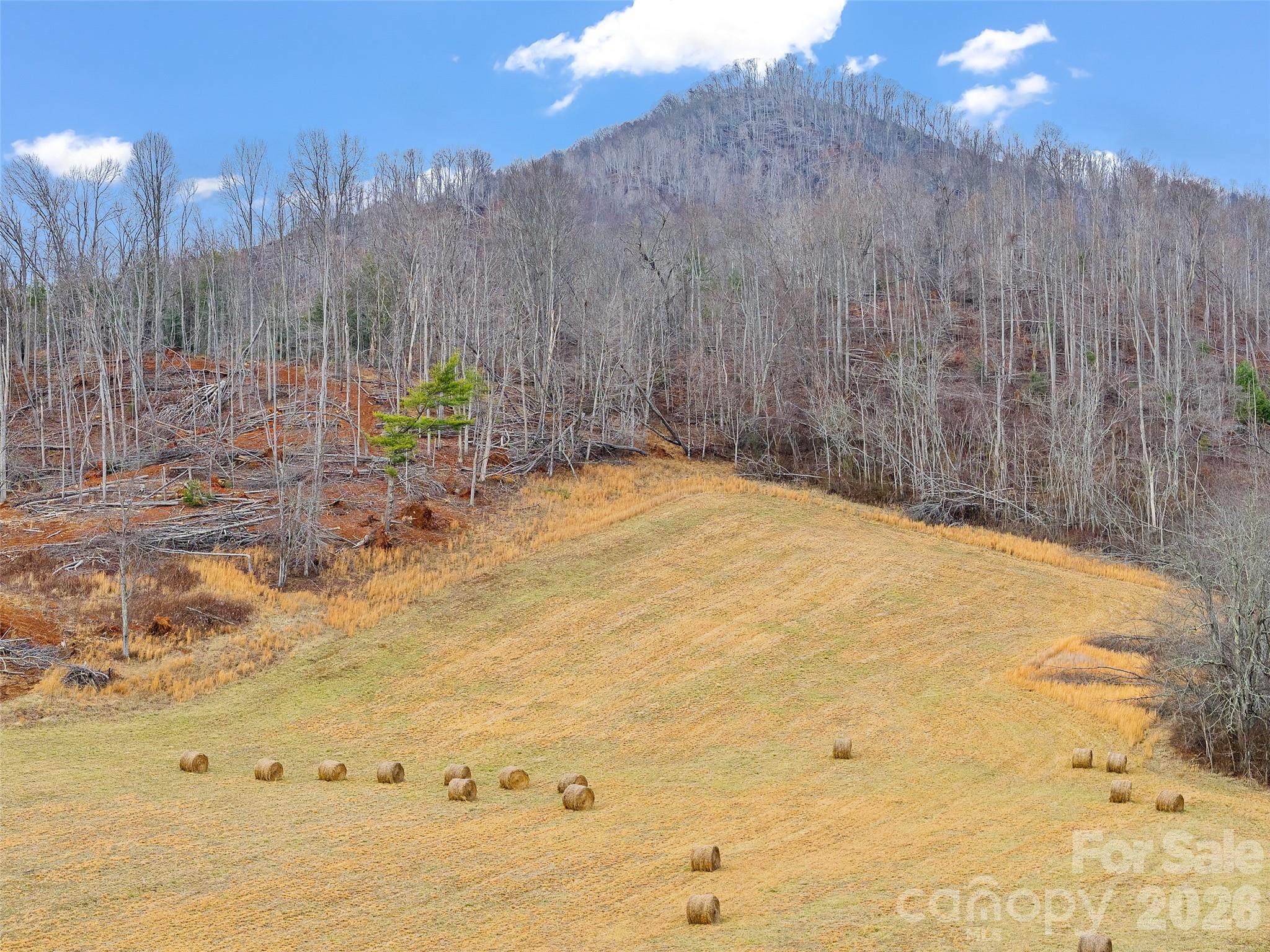 784 Green Young Cemetery Road Bakersville, NC 28705 - Photo 4 of 46