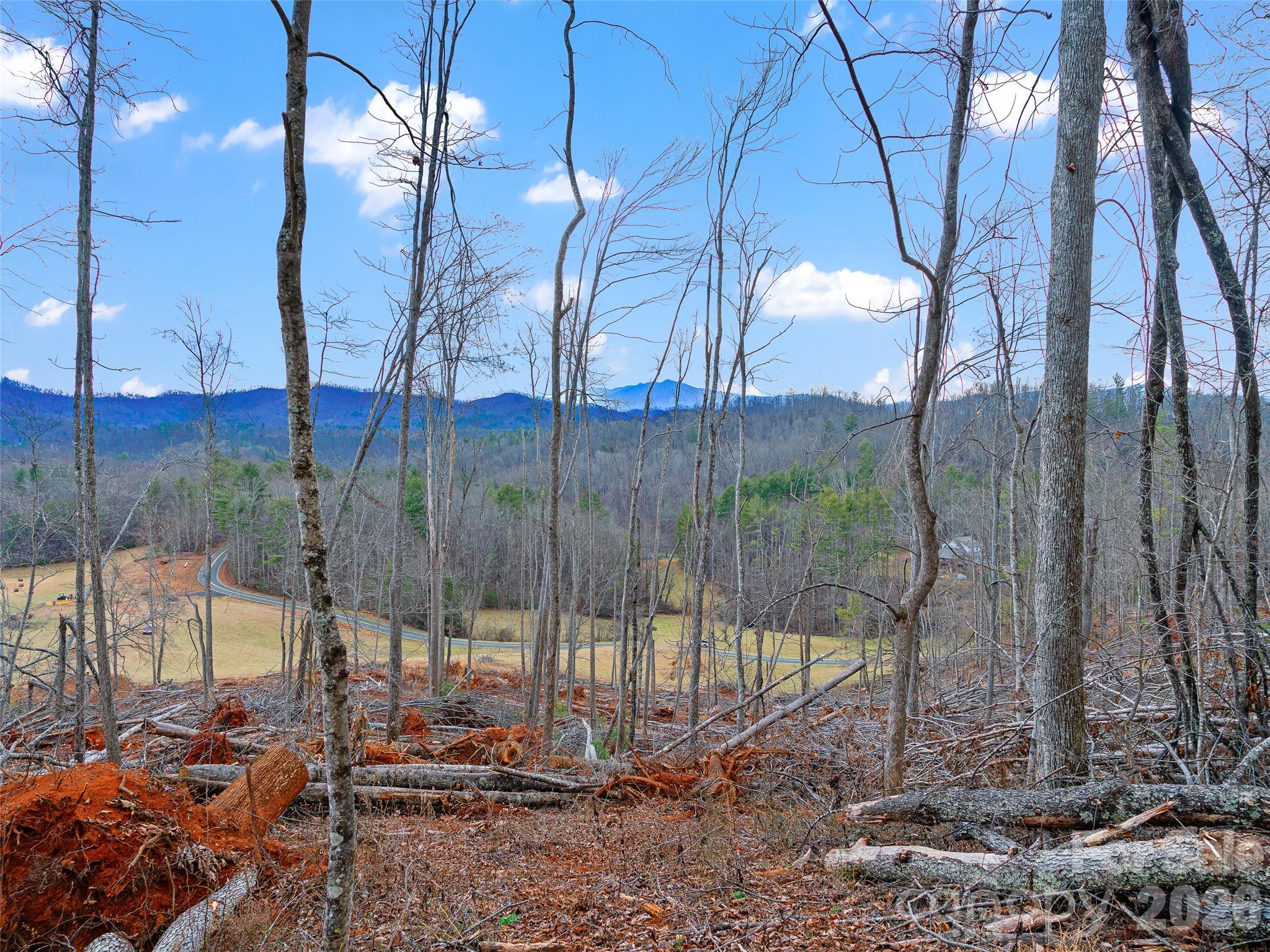 784 Green Young Cemetery Road Bakersville, NC 28705 - Photo 41 of 46 a backyard of a house with lots of green space