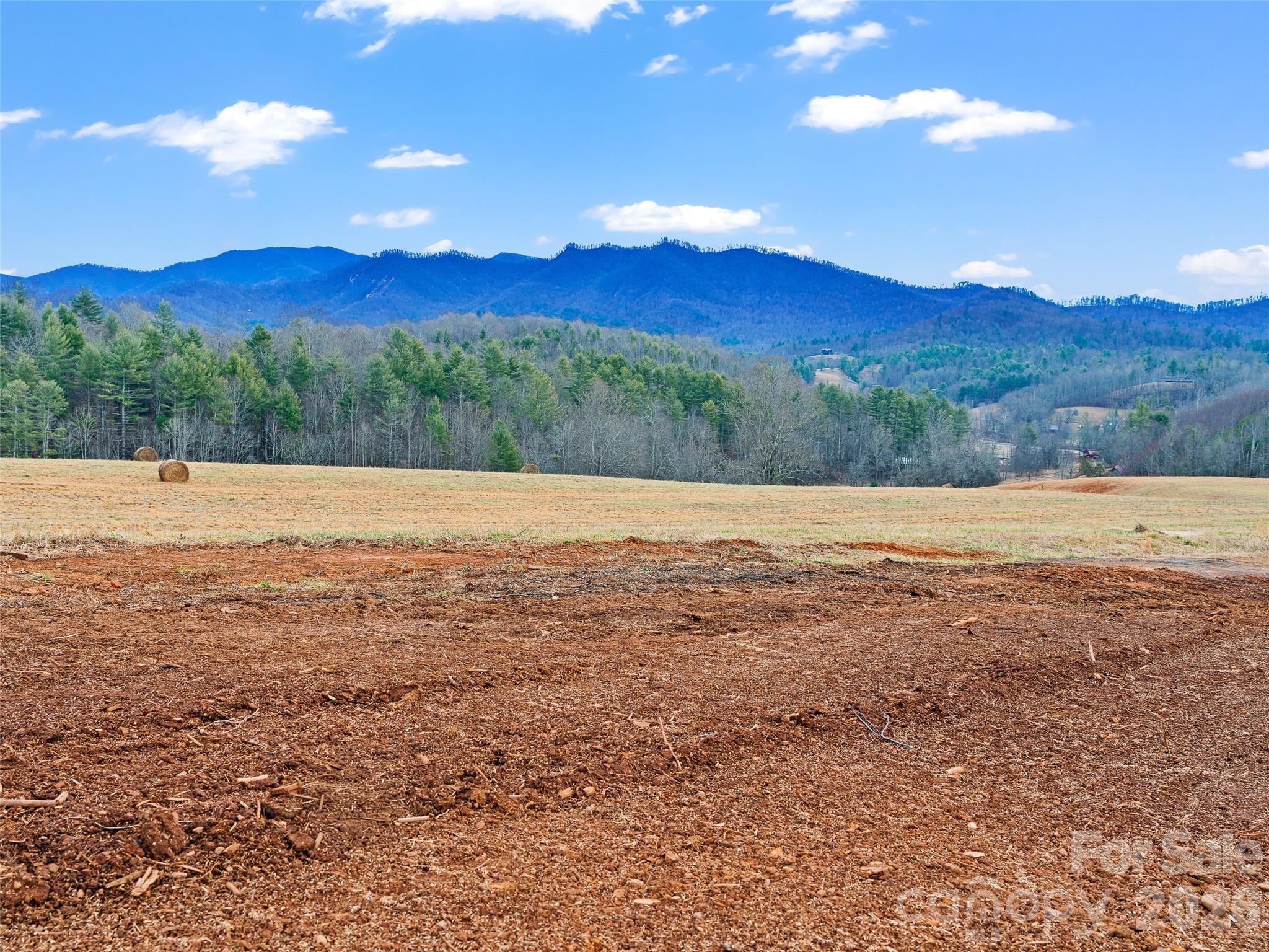 784 Green Young Cemetery Road Bakersville, NC 28705 - Photo 42 of 46 a view of an outdoor space and mountain view
