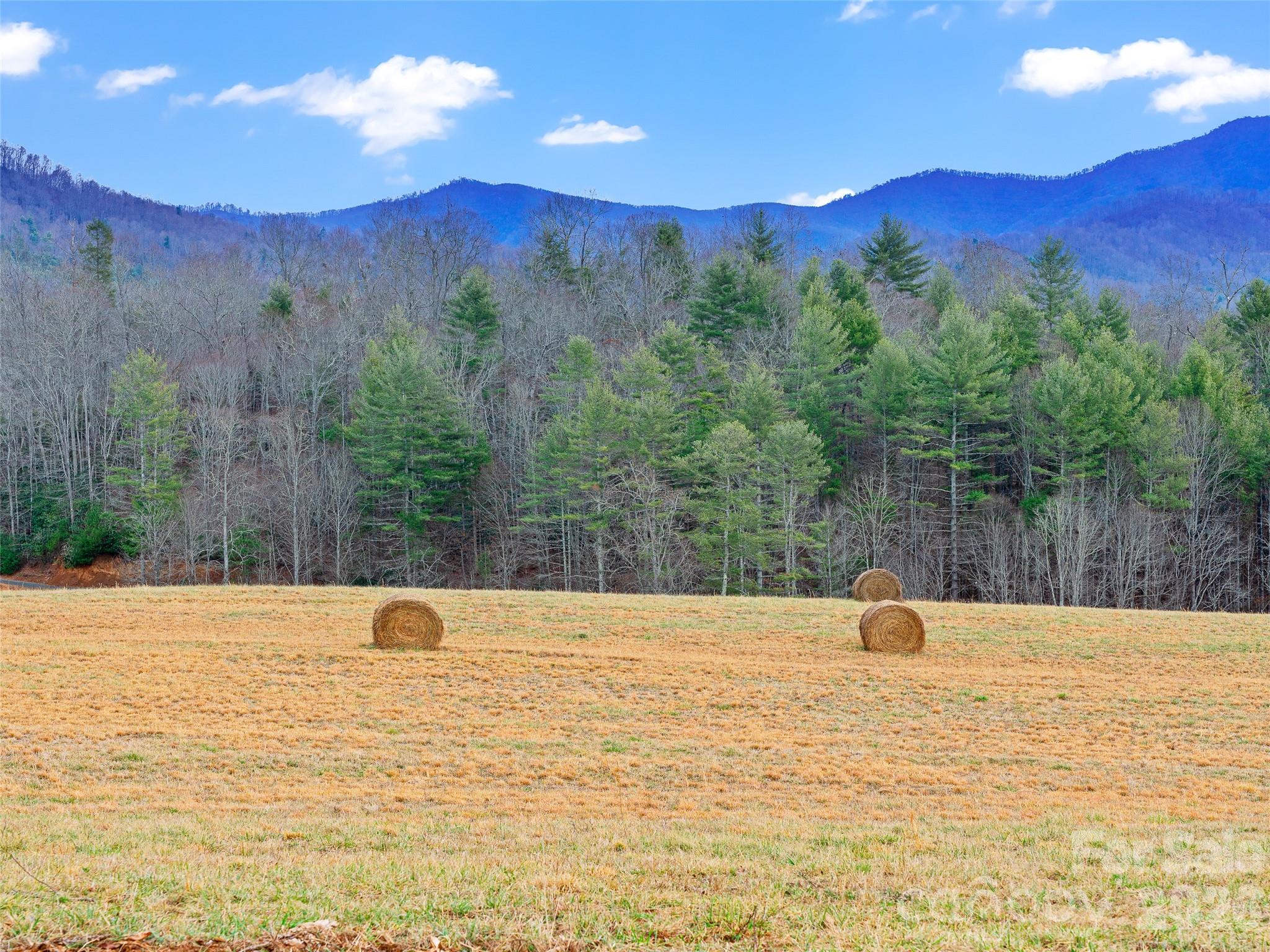 784 Green Young Cemetery Road Bakersville, NC 28705 - Photo 43 of 46 a view of a swimming pool with a stove