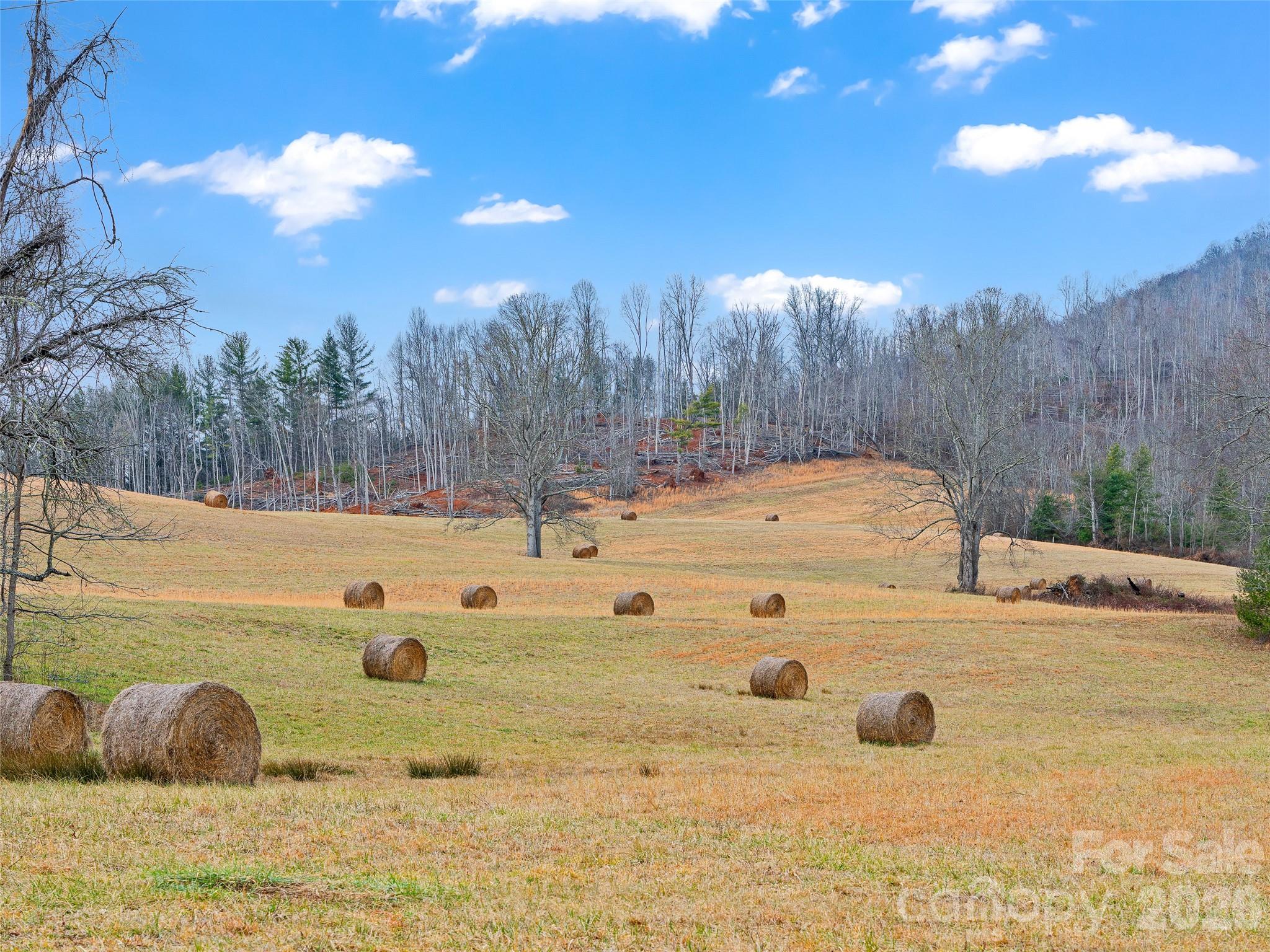 784 Green Young Cemetery Road Bakersville, NC 28705 - Photo 46 of 46 a view of white house with a yard
