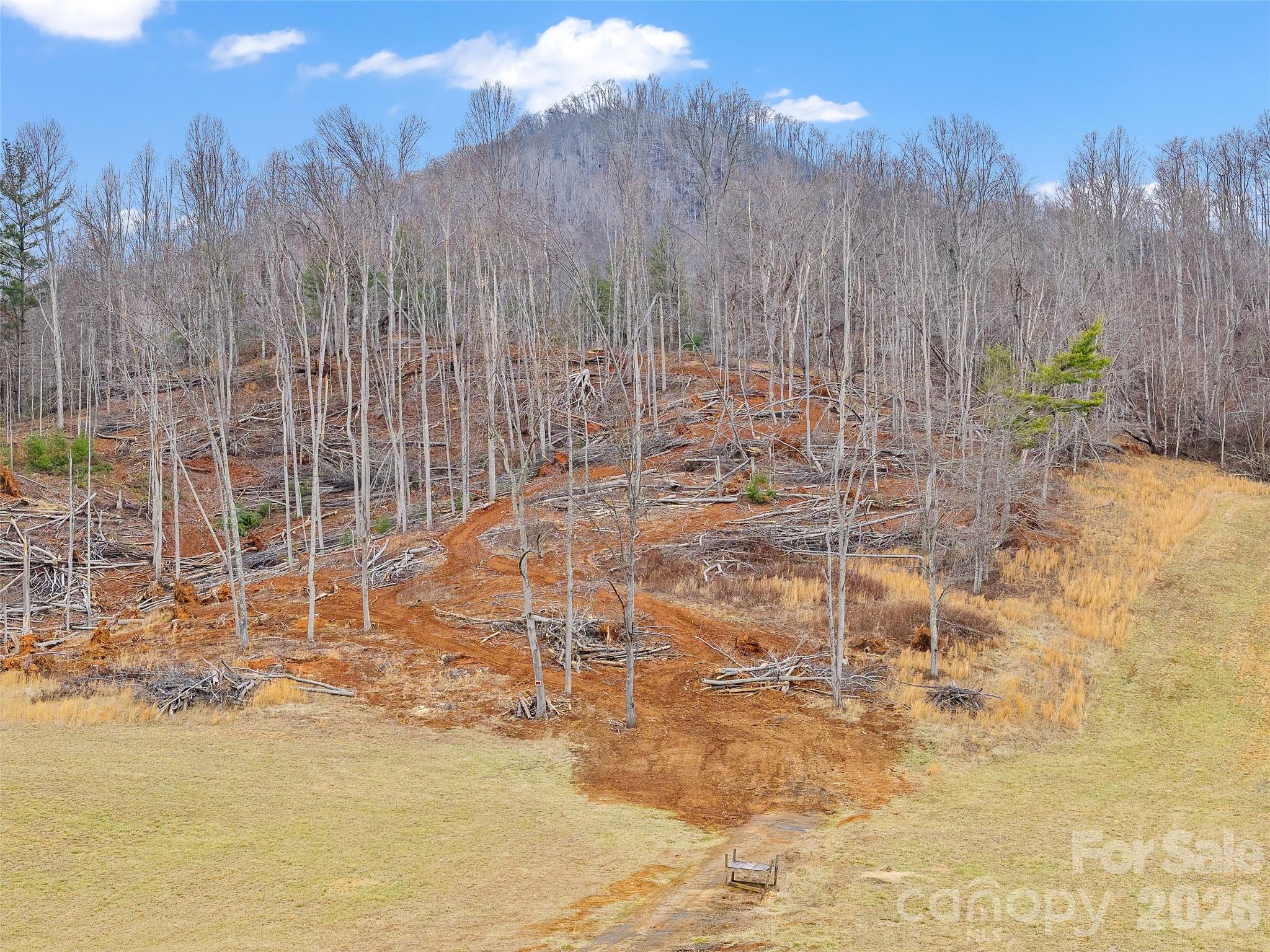 784 Green Young Cemetery Road Bakersville, NC 28705 - Photo 5 of 46 a view of a backyard