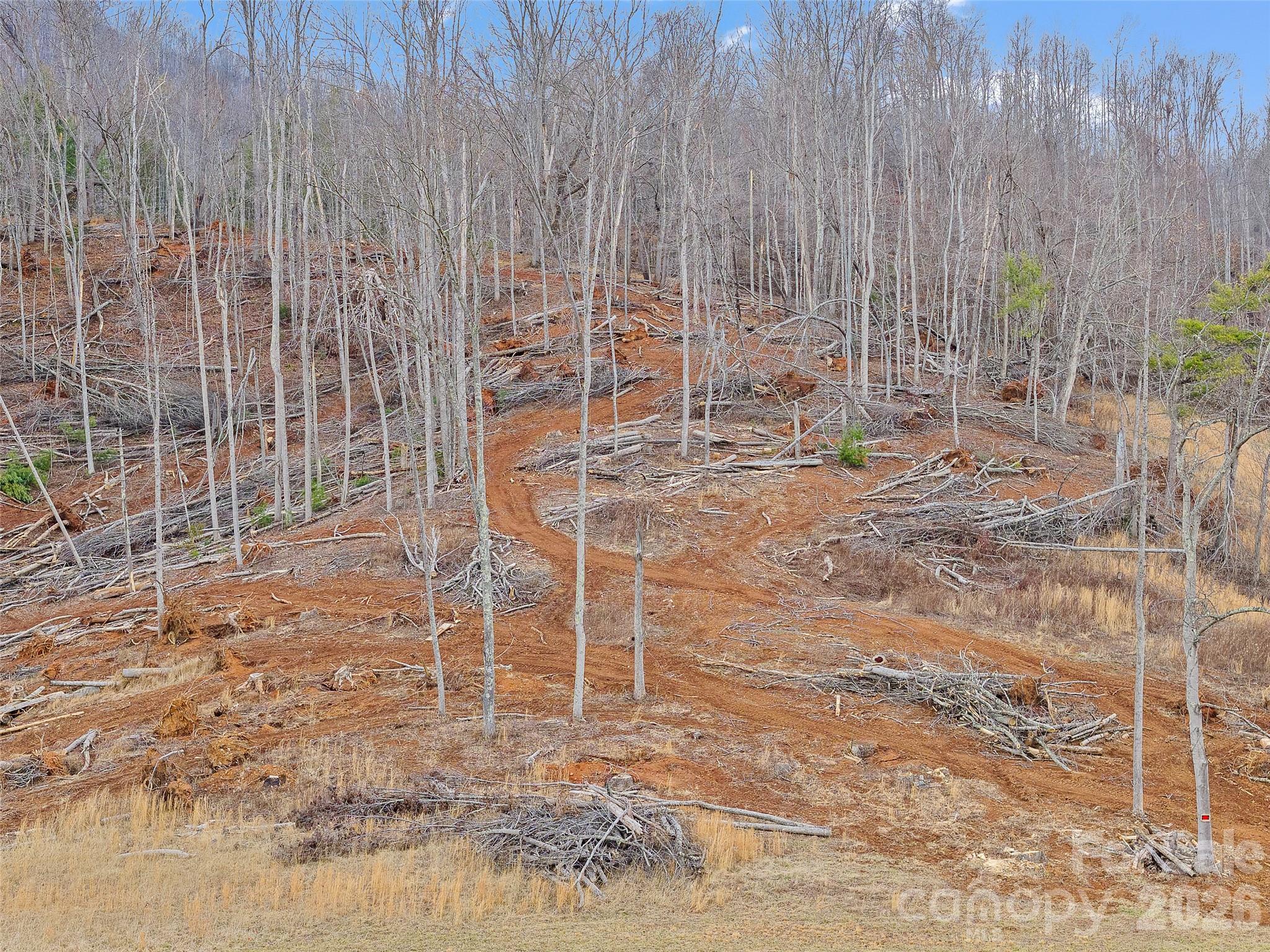 784 Green Young Cemetery Road Bakersville, NC 28705 - Photo 6 of 46