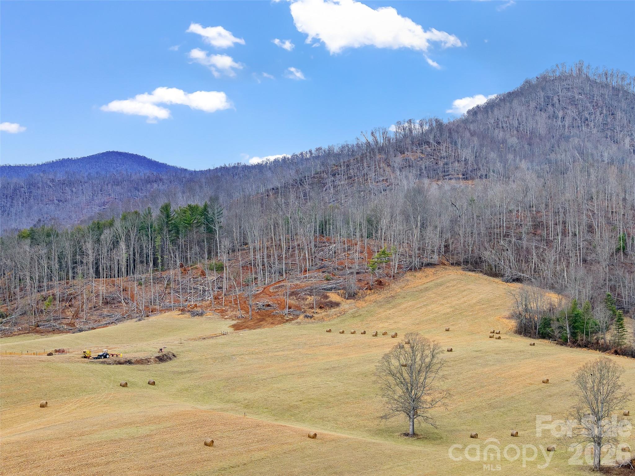 784 Green Young Cemetery Road Bakersville, NC 28705 - Photo 7 of 46 a view of a backyard of a house