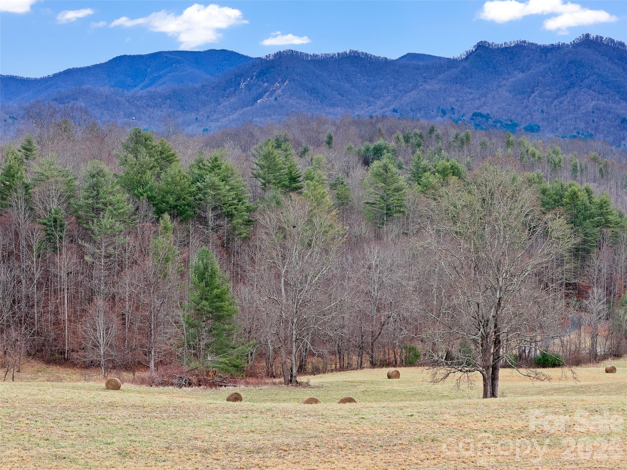 784 Green Young Cemetery Road Bakersville, NC 28705 - Photo 8 of 46 a view of a house with a yard