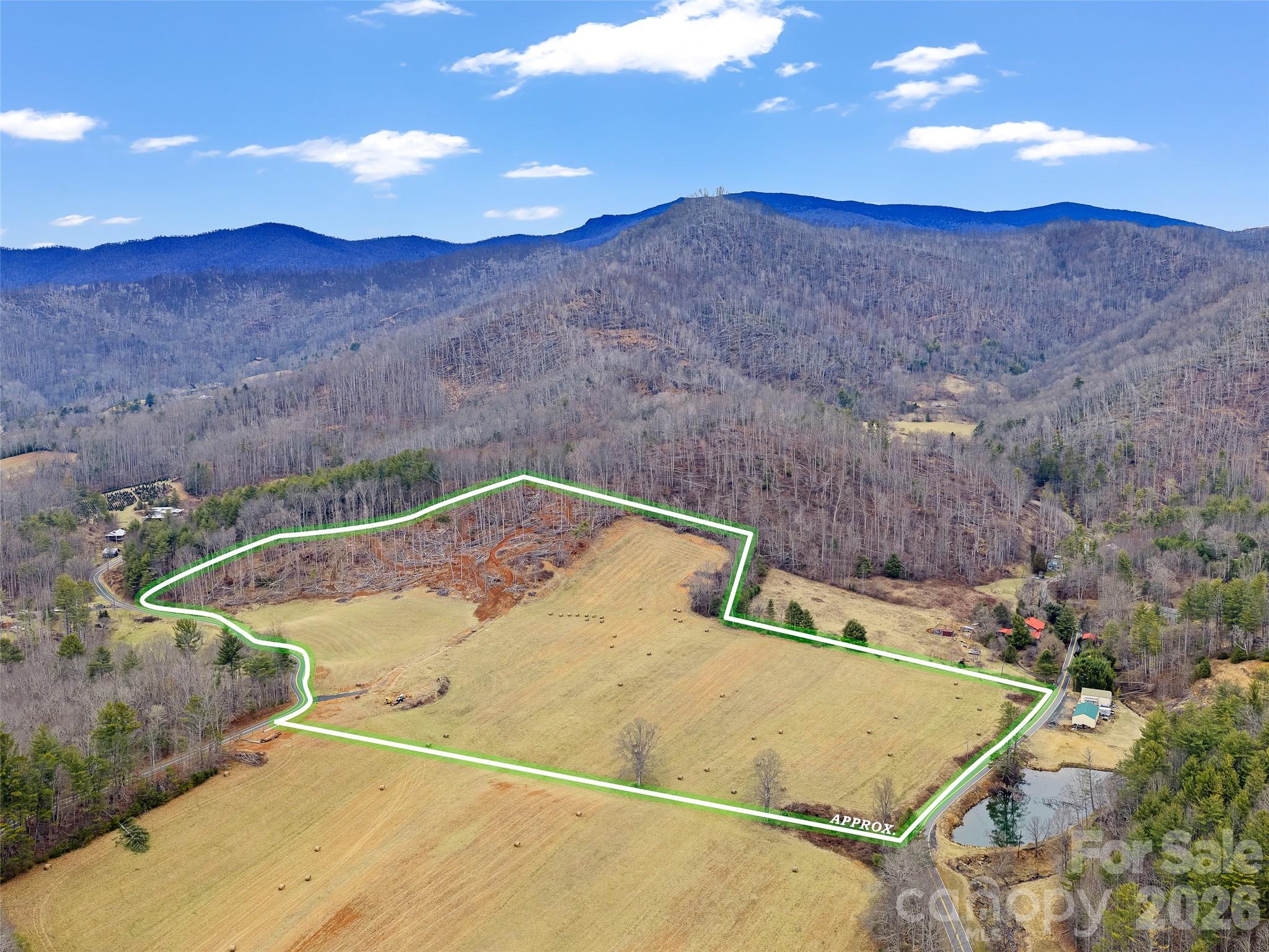 784 Green Young Cemetery Road Bakersville, NC 28705 - Photo 10 of 46 a view of a swimming pool with a yard