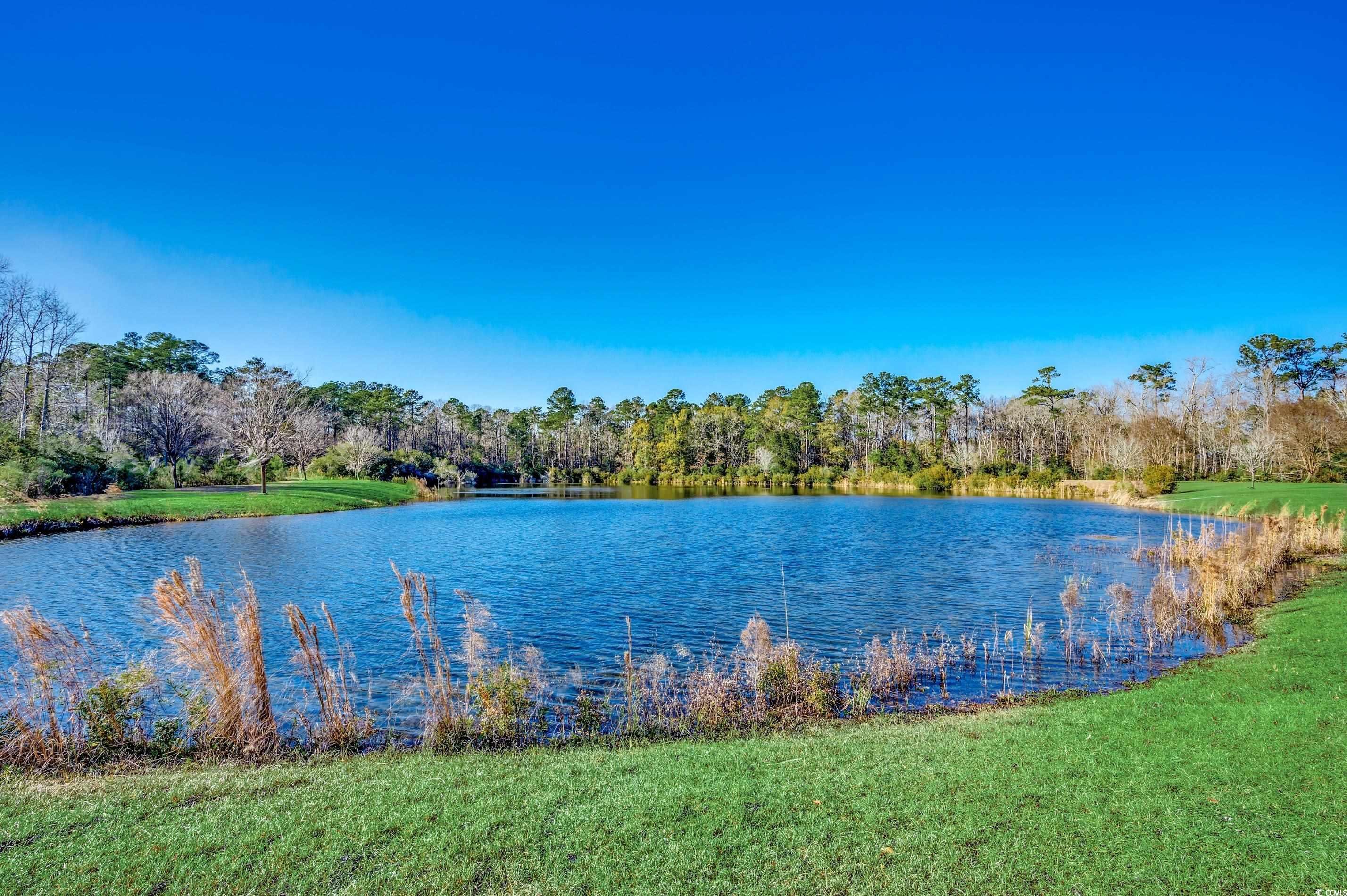 2380 Clear Pond Road Conway, SC 29526 - Photo 32 of 40 Gallery Image 32
