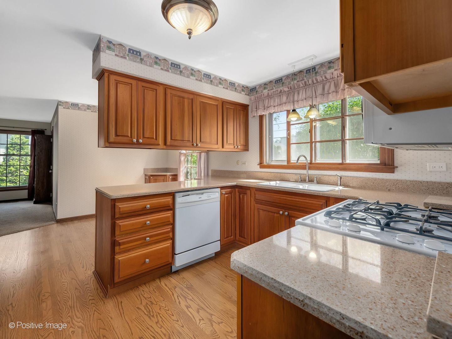 217 Rex Boulevard Elmhurst, IL 60126 - Photo 12 of 36