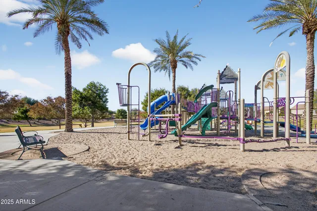 a view of a park with tree s
