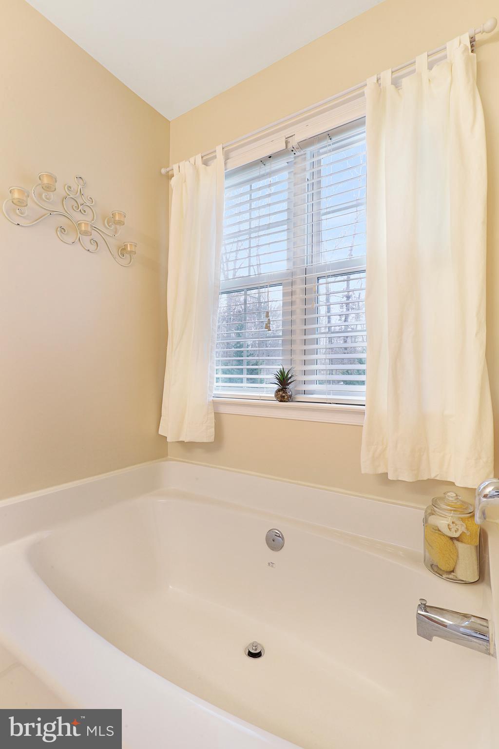 7388 Kennedy Road Nokesville, VA 20181 - Photo 18 of 41 master soaker tub