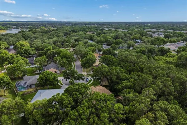 $650,000 | 1661 Woodridge Court, Lutz, FL 33559