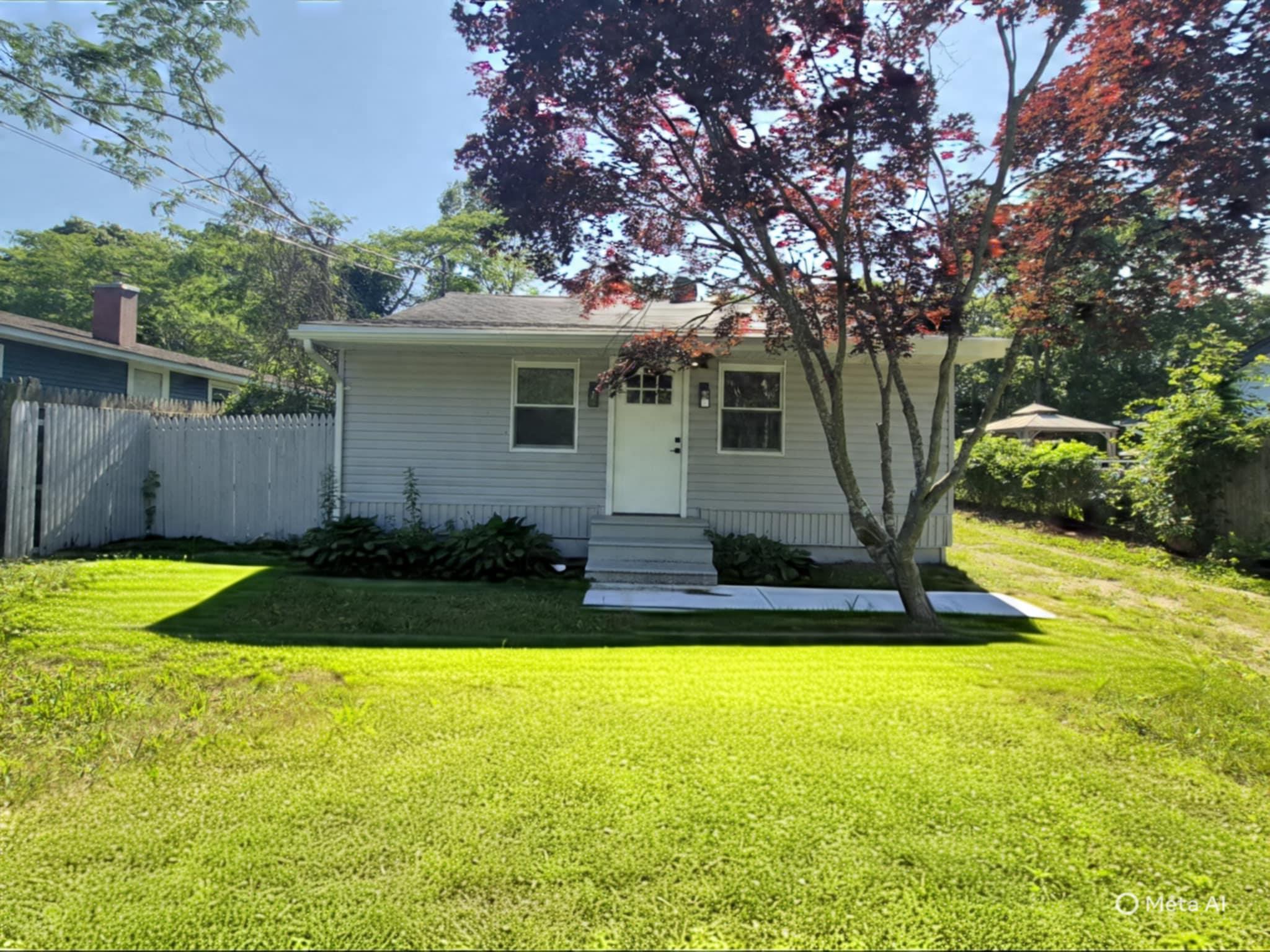 a view of a backyard with plants and large tree
