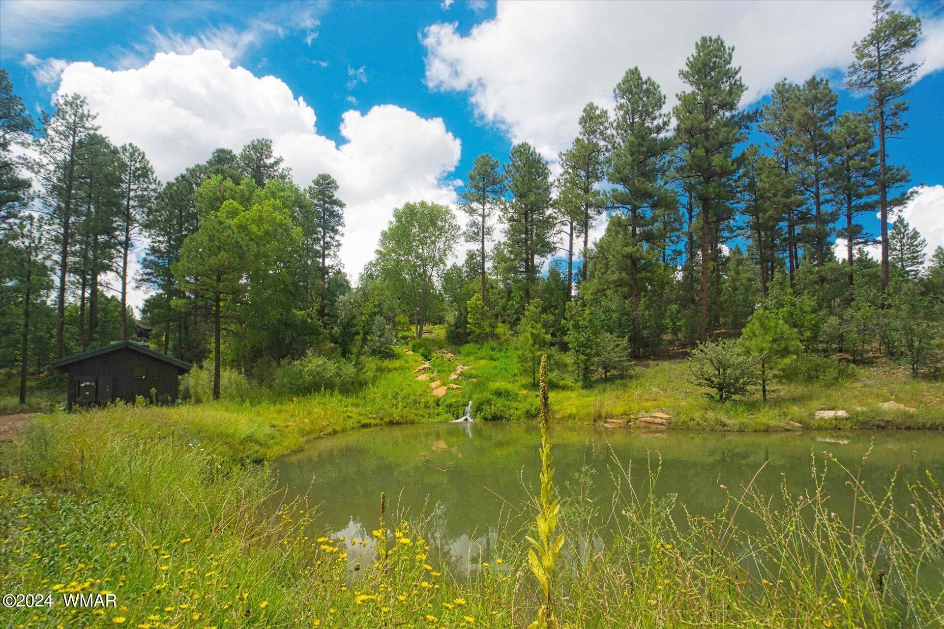 3361 West Falling Leaf Road Show Low, AZ 85901 - Photo 44 of 49 Fishing pond near kids center