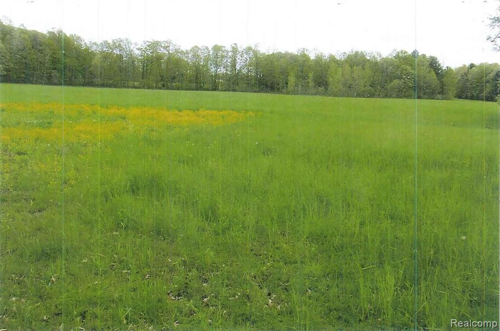 2 South Latson Road Howell, MI 48843 - Photo 2 of 8