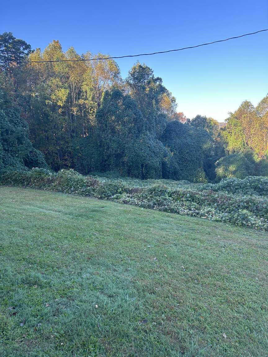410 O O Johnson Road London, KY 40744 - Photo 14 of 18 Gilliam.14
