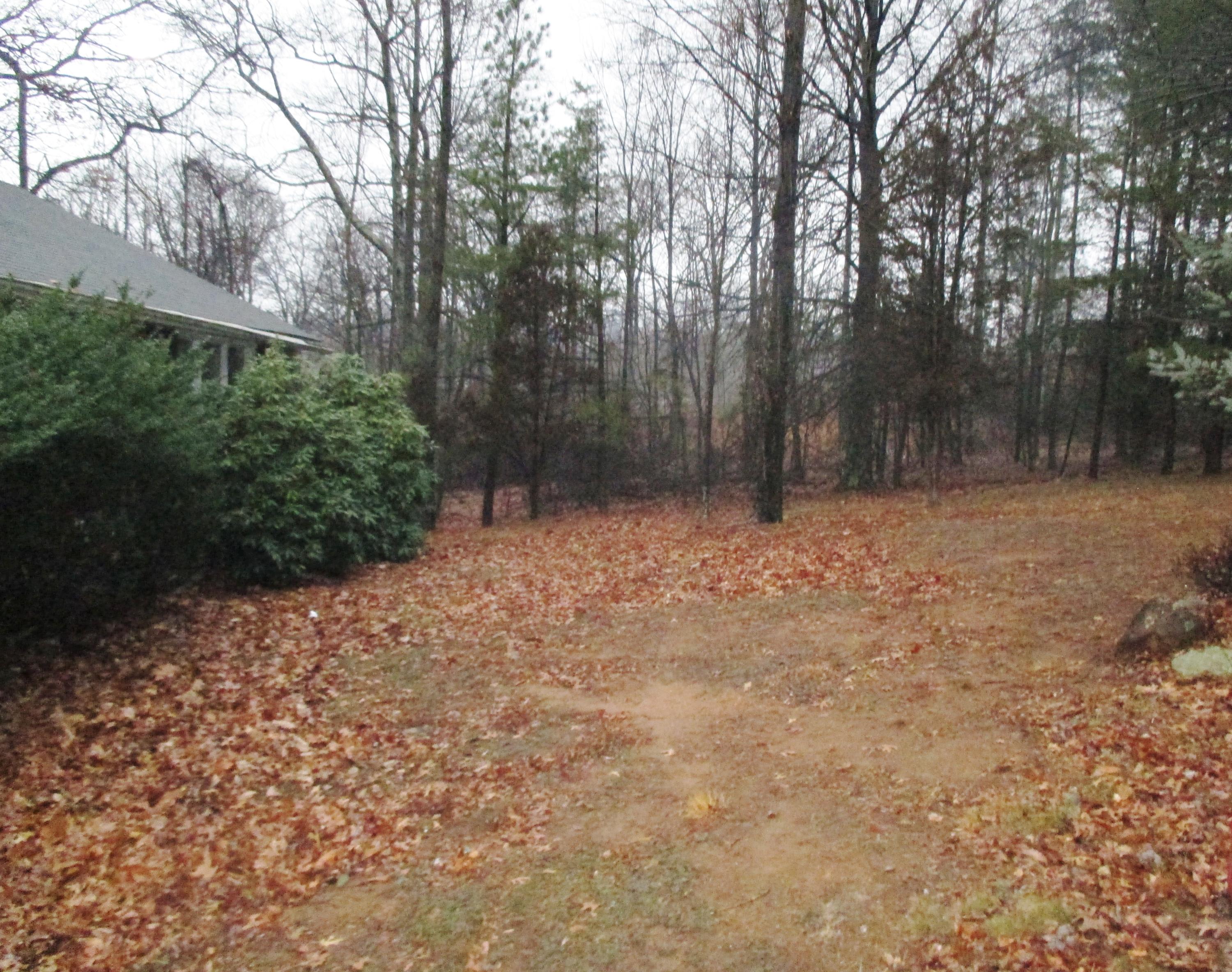 1522 Fosters Knob Road Blue Ridge, VA 24064 - Photo 16 of 19 IMG_2366 (2)