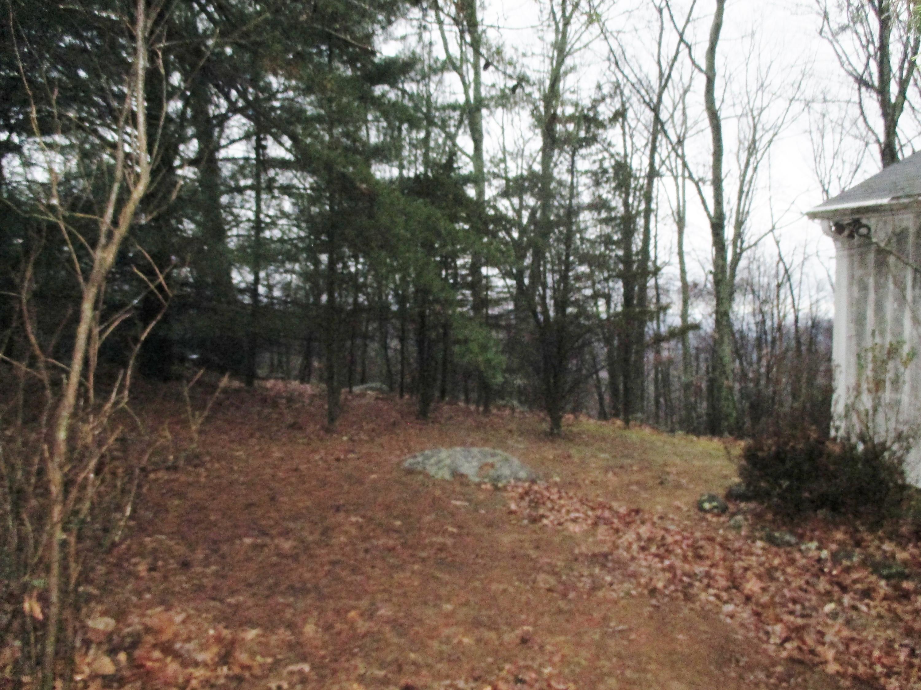 1522 Fosters Knob Road Blue Ridge, VA 24064 - Photo 17 of 19 IMG_2367 (2)