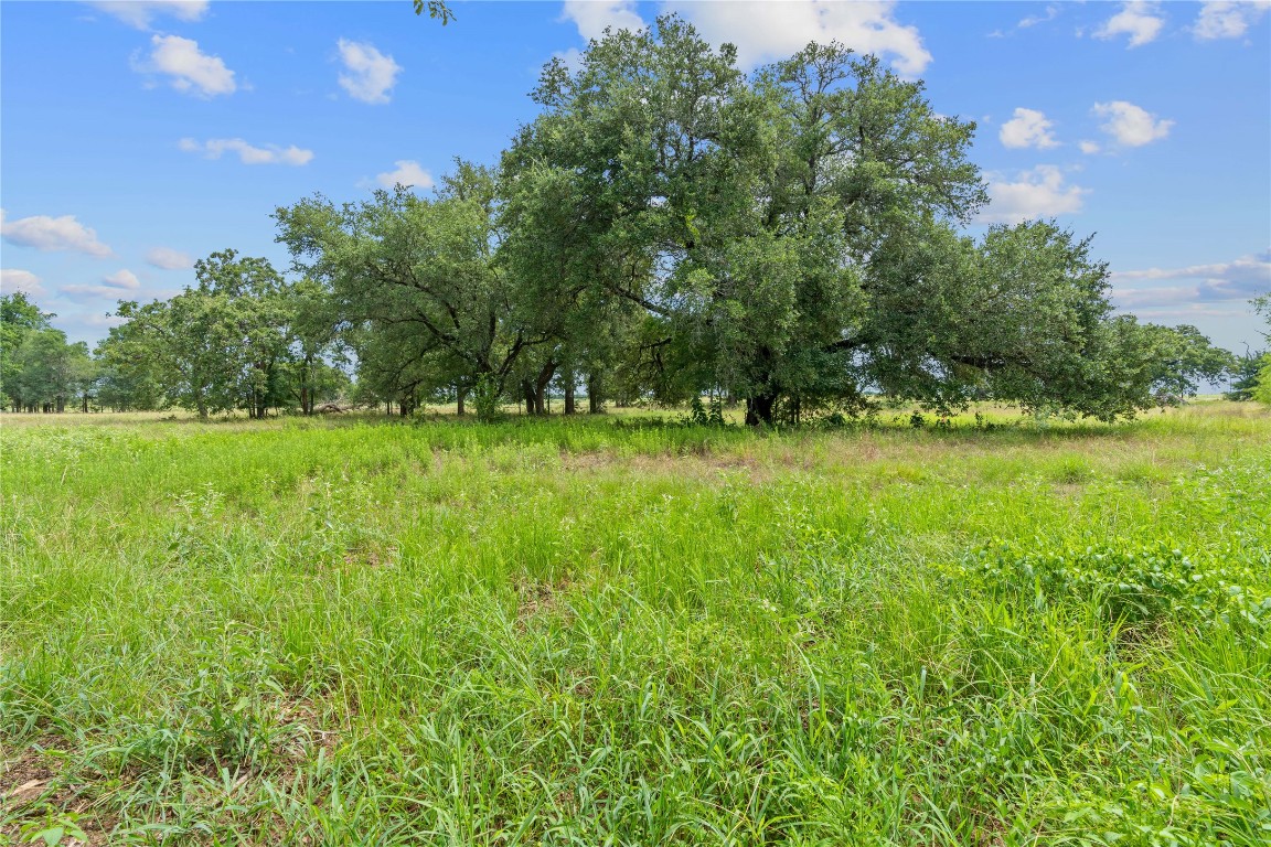 955 Ferguson Loop Dale Dale, TX 78616 - Photo 1 of 1