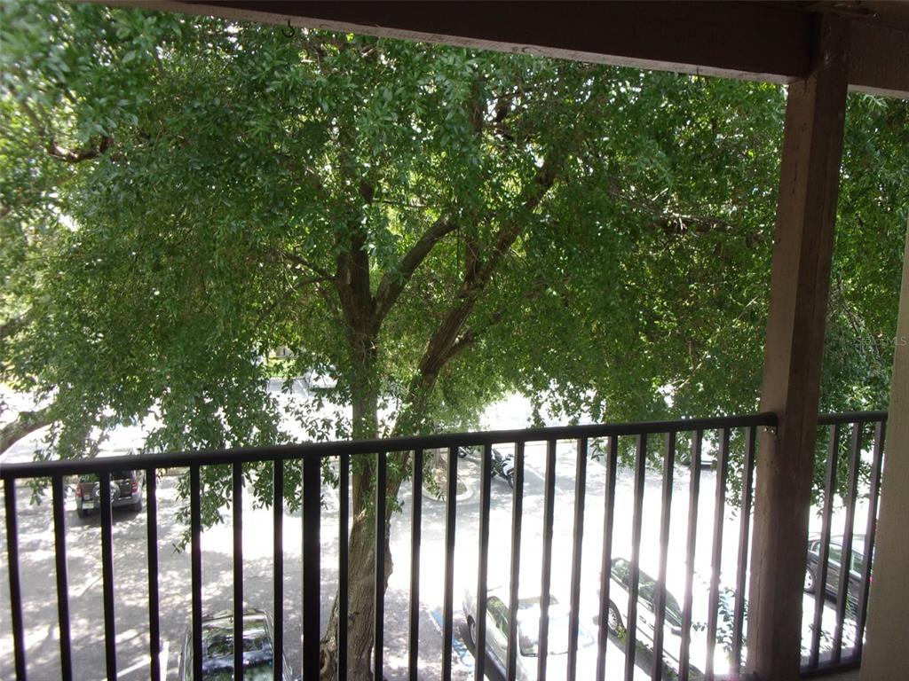 246 Afton Square, Unit 304 Altamonte Springs, FL 32714 - Photo 2 of 18 a view of outdoor space with deck and trees