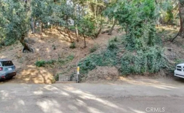 a view of road with large trees