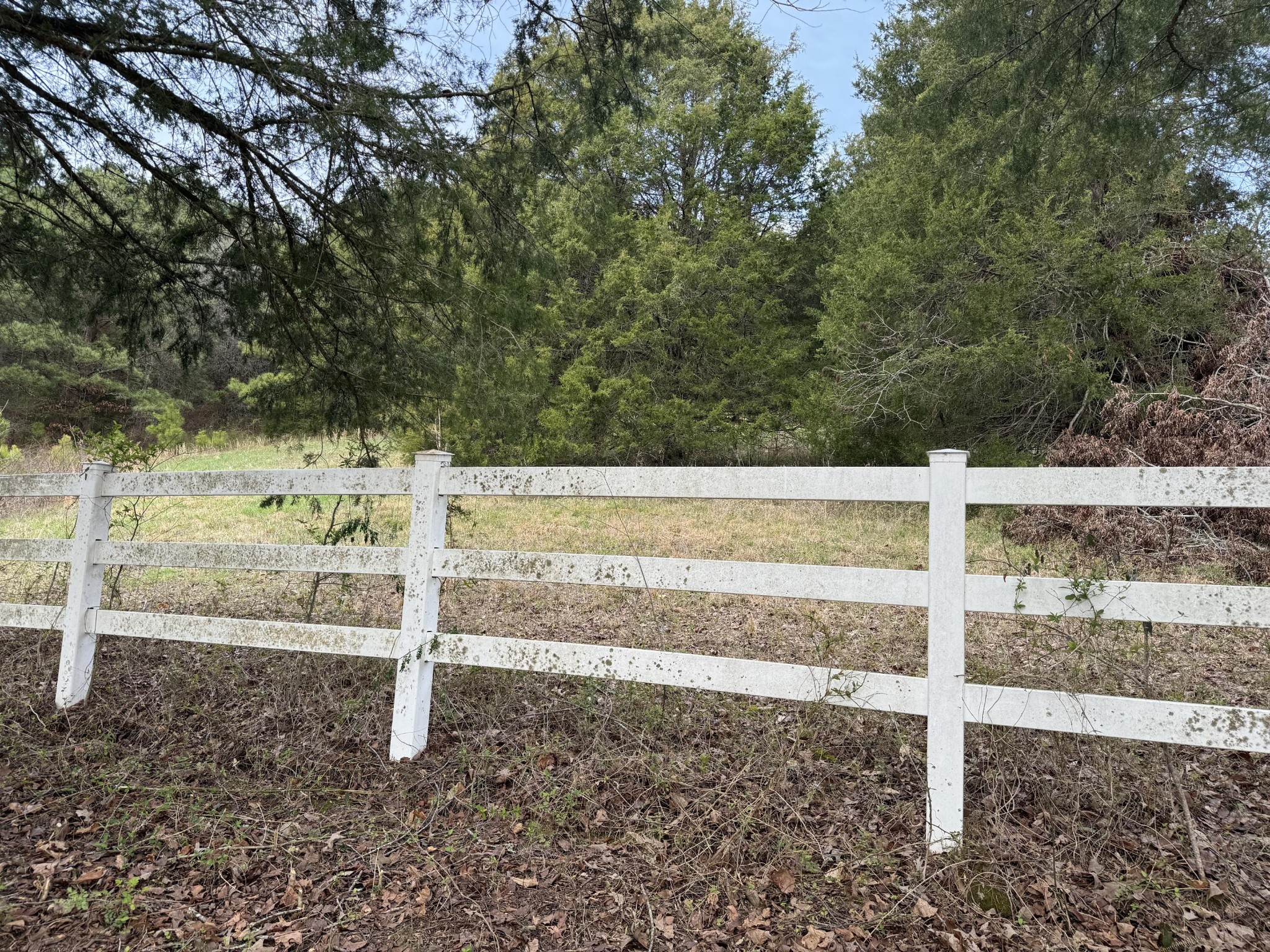 3 Cottonport Road Decatur, TN 37322 - Photo 4 of 11 a view of a yard with wooden fence
