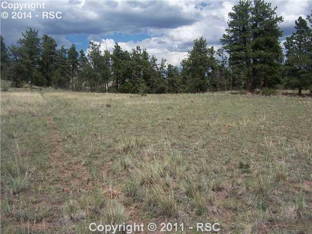 620 Julia Road Guffey, CO 80820 - Photo 6 of 11 The drive path as it approaches the top of the knoll.