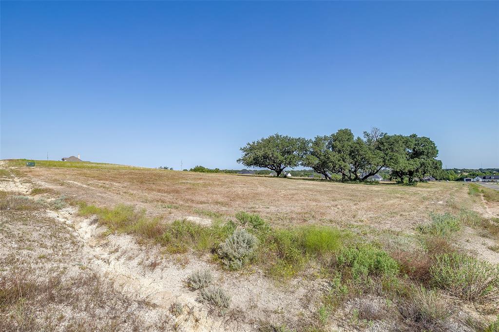 1016 Lilly Lane Weatherford, TX 76088 - Photo 6 of 7 a view of a yard with an outdoor space