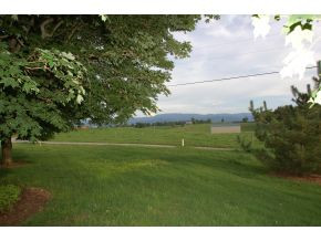 990 Barren Road Chuckey, TN 37641 - Photo 16 of 24 View from Front