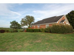 990 Barren Road Chuckey, TN 37641 - Photo 24 of 24 Back yard