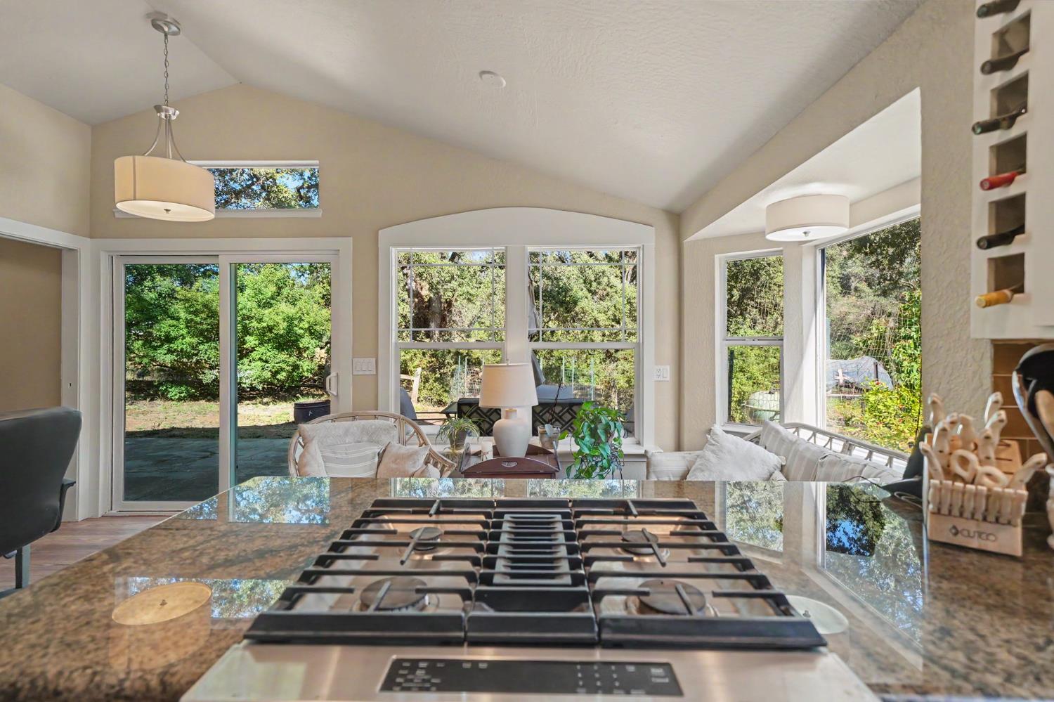 16671 Fiddletown Road Fiddletown, CA 95629 - Photo 45 of 71