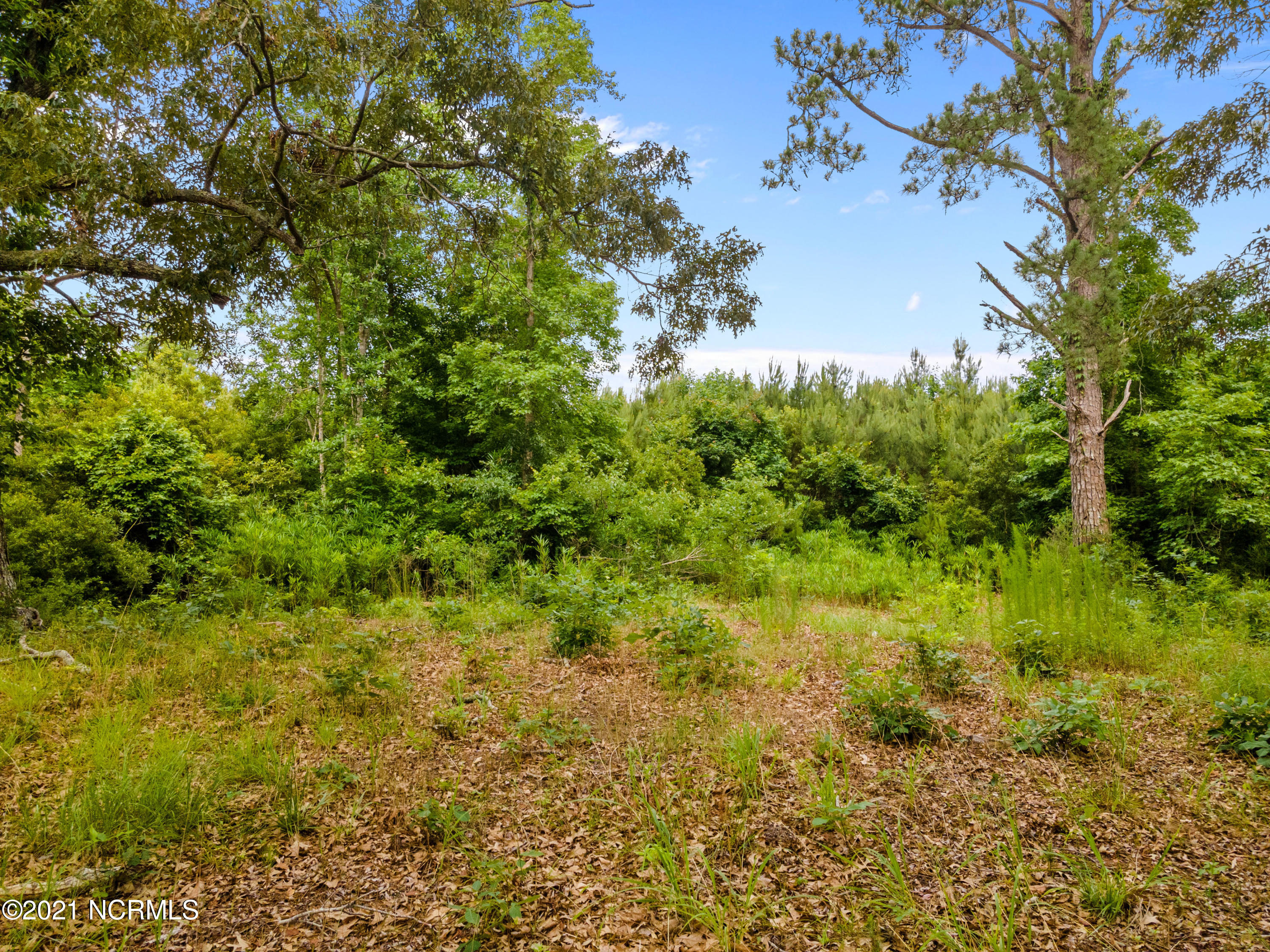 11 Boones Neck Road Southwest Supply, NC 28462 - Photo 3 of 11 T-11-11