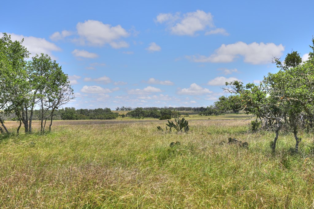 2600 Reservation Road Harper, TX 78631 - Photo 3 of 16
