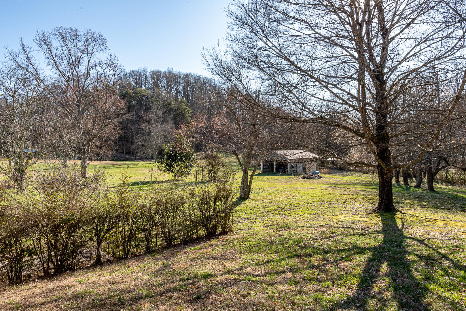 10721 Old Rutledge Pike Blaine, TN 37709 - Photo 29 of 34 DSC_9070