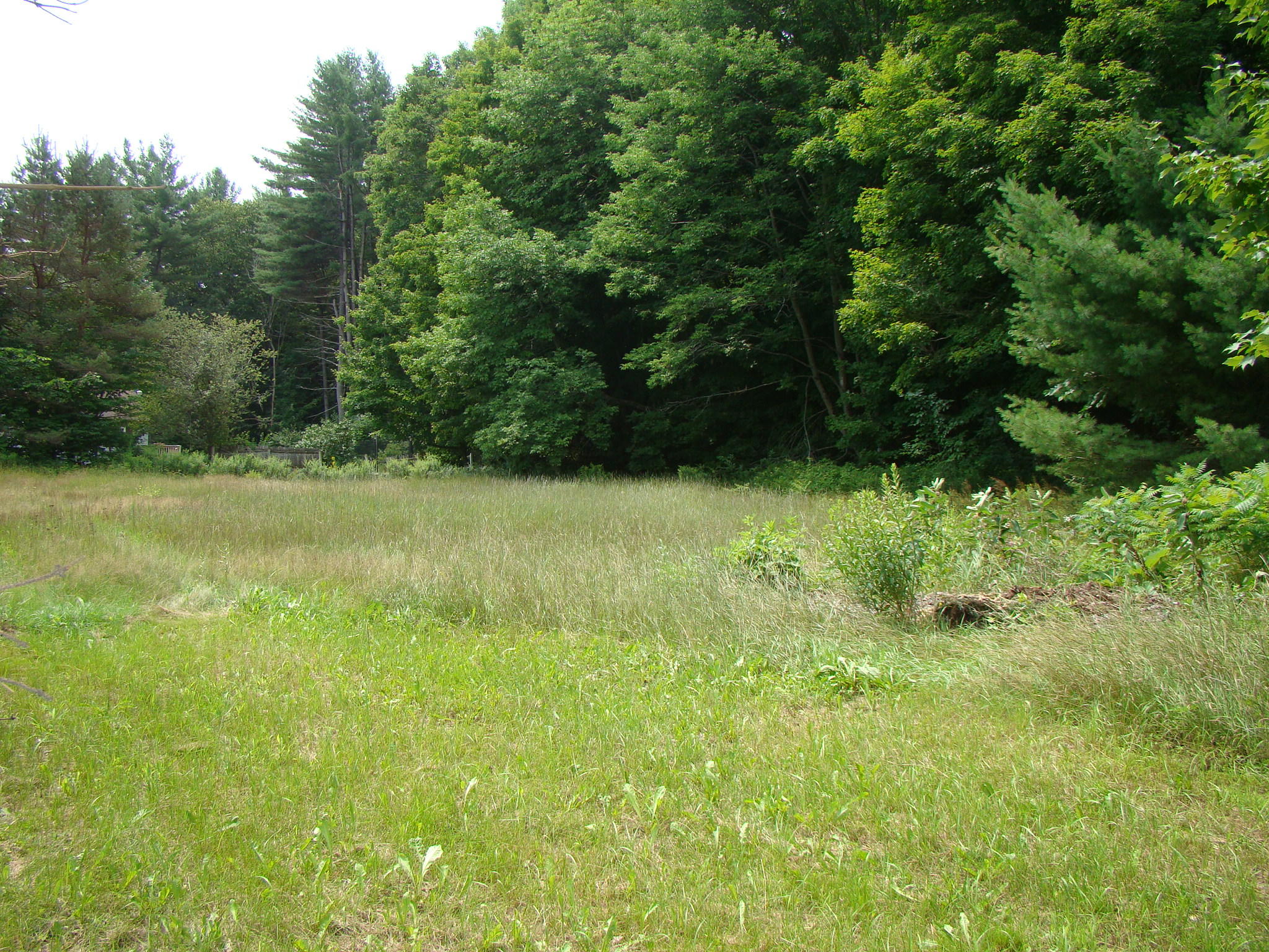 2114 Auburn Road Turner, ME 04282 - Photo 7 of 55 Front field