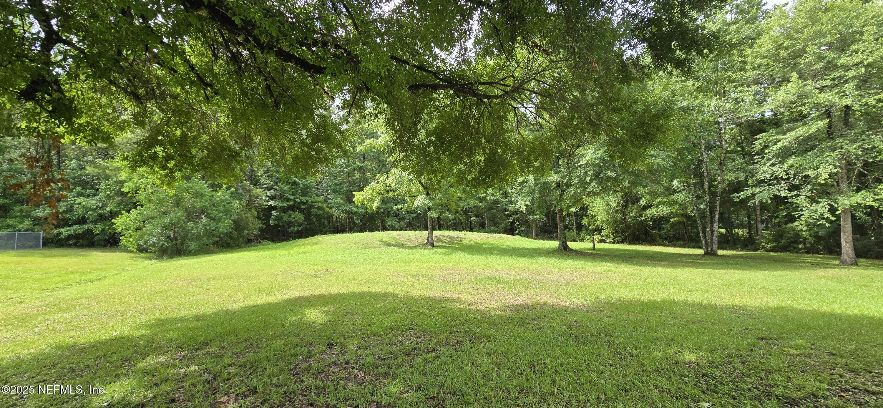 45028 Musslewhite Road Callahan, FL 32011 - Photo 2 of 18 a view of a big yard with a plants and trees