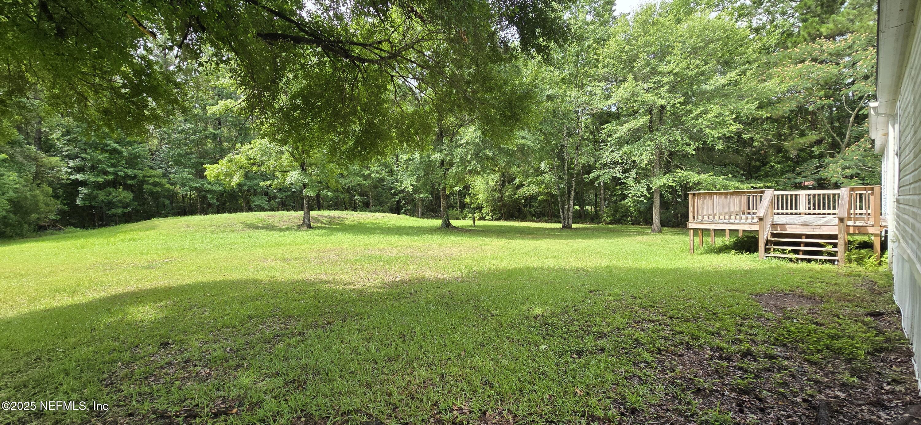45028 Musslewhite Road Callahan, FL 32011 - Photo 3 of 18 a view of a trees with a big yard