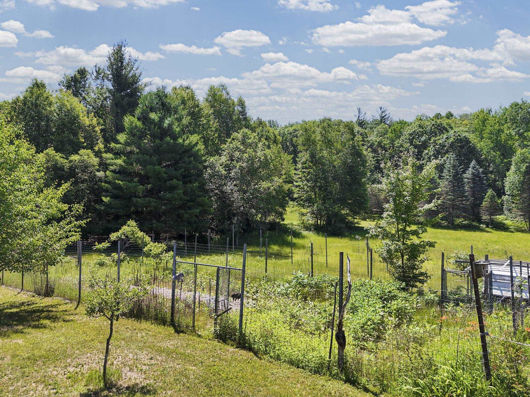 12549 Puffer Road Southwest Fife Lake, MI 49633 - Photo 56 of 67 1947814-3f142743-9b27-4845-8fc8-becd02b76728.JPG