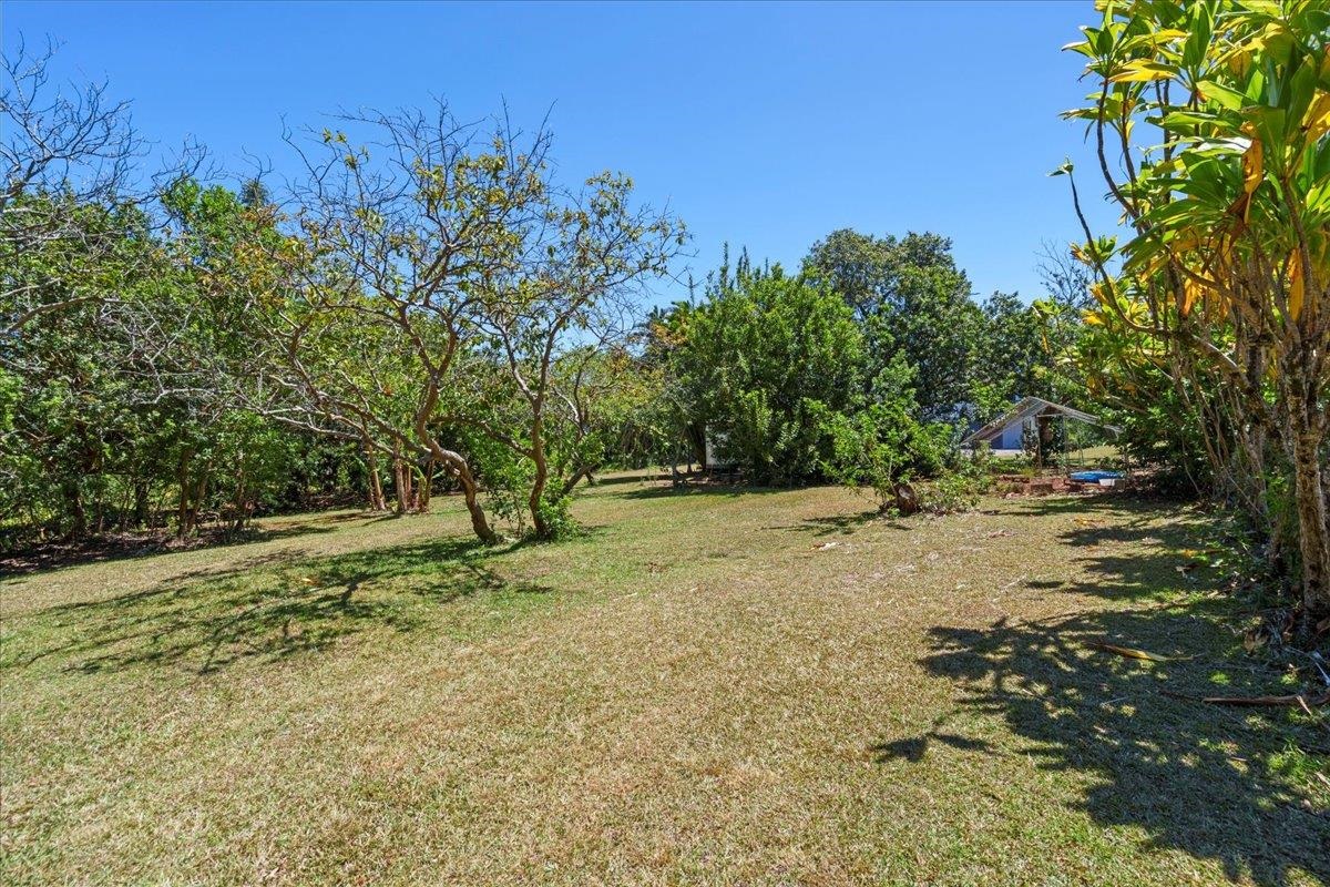 2130 Kauhikoa Road, Unit A Haiku, HI 96708 - Photo 42 of 43 a view of a tree with a yard