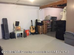 8641 Riverest Drive Portland, MI 48875 - Photo 22 of 30 BasementStorage