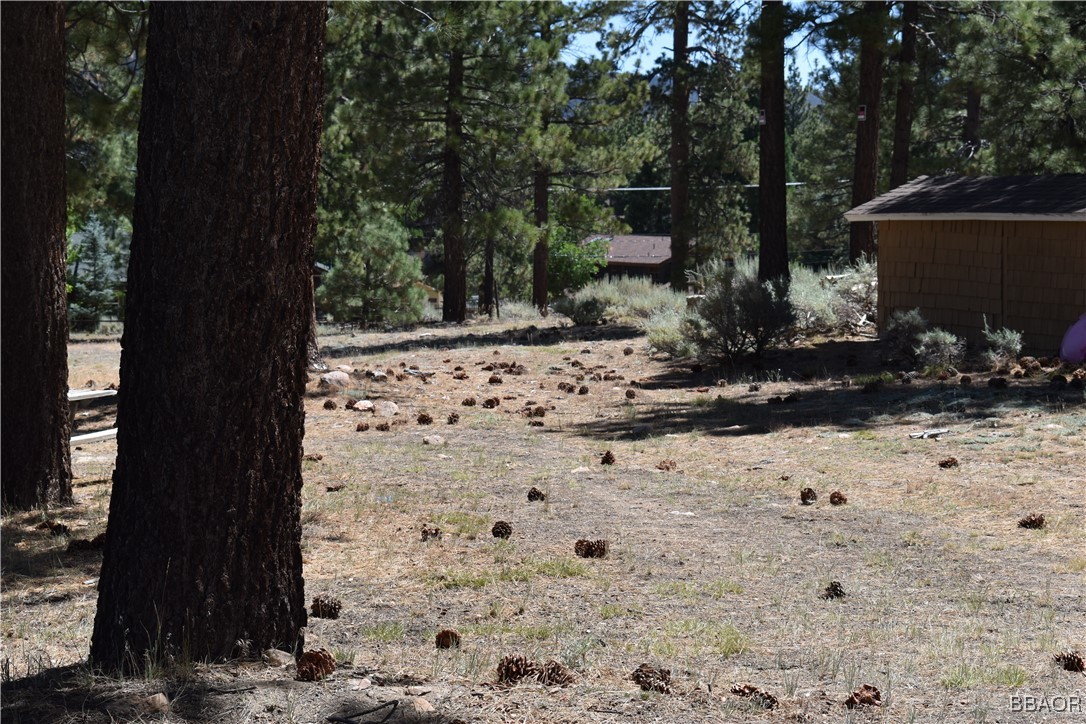 0 Forest Road Big Bear Lake, CA 92315 - Photo 2 of 7