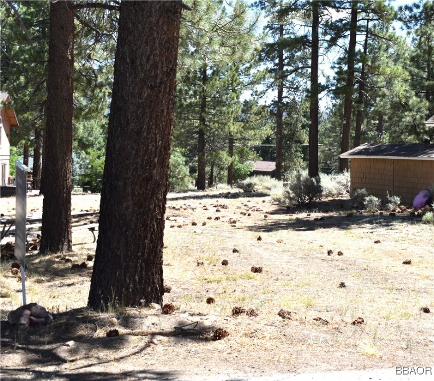0 Forest Road Big Bear Lake, CA 92315 - Photo 3 of 7