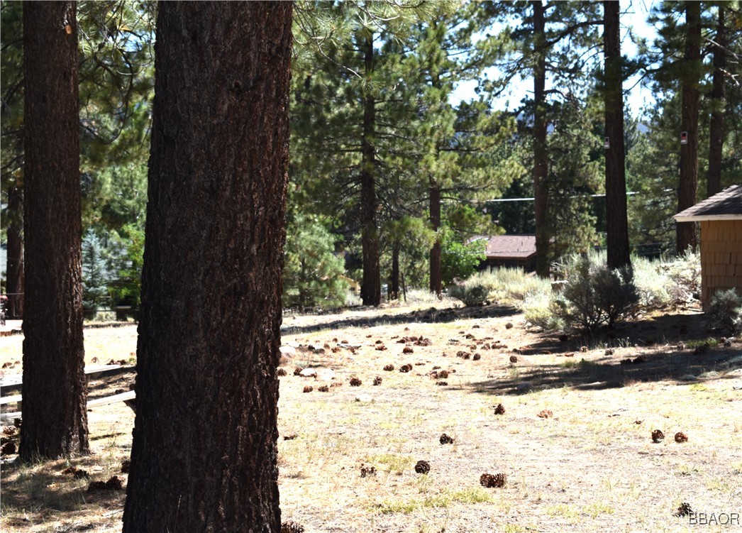 0 Forest Road Big Bear Lake, CA 92315 - Photo 4 of 7