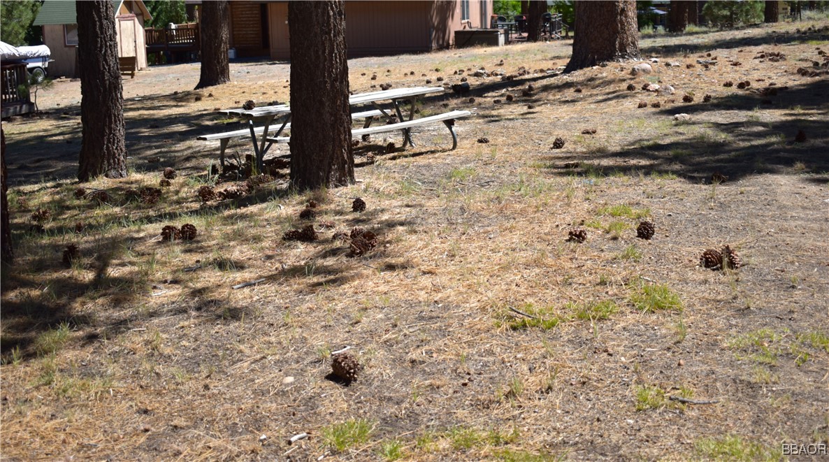 0 Forest Road Big Bear Lake, CA 92315 - Photo 5 of 7